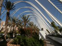 Palmengarten im ehemaligen Turia-Flussbett Valencia