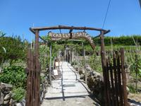 La Cantina del Sergente