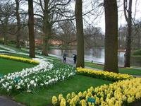 Im Keukenhof