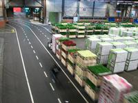 Blumenversteigerung Aalsmeer