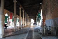 Blick in die Fischhalle Rialtomarkt