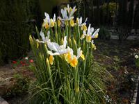 Alhambra und Generalife