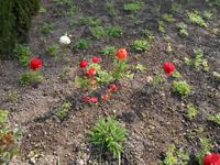 Alhambra und Generalife