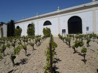 in Jerez- Besuch einer Bodega