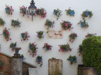 in Cordoba