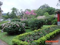 Besuch des Botanischen Gartens in Peradeniya