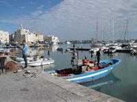 Hafen von Trani