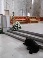 Das Innere der Kathedrale