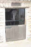 La Granja - Tierreich