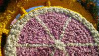Steuerrad aus Narzissenblüten und Hyazintenblüten