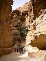 Siq in Petra