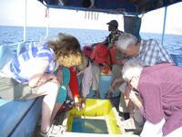 Entdeckung der Unterwasserwelt vom Roten Meer