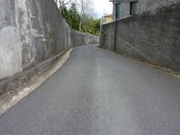 Monte: Korbschlittenfahrt