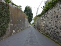 Monte: Korbschlittenfahrt