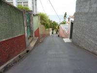 Monte: Korbschlittenfahrt