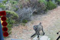 107IMG_1 (187)