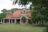 Straußenfarm - Federnpalast