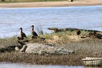 St. Lucia - Inselbewohner in Harmonie