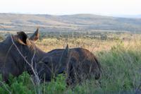 Hluhluwe Nationalpark