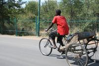 IMG_0826