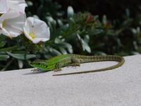 Fotografin: Esther Kohl