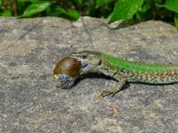 Fotografin: Esther Kohl