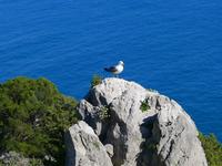 Fotografin: Esther Kohl