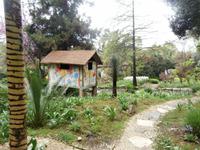 Heller Garten Gardone Riviera