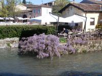 Borghetto sul Mincio