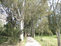 Auf dem Weg zu den  Ausgrabungsstätten