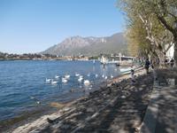 Lecco am Lago di Lecco