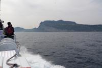 Fähre nach Capri
