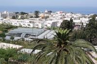 Anacapri Seilbahnfahrt Monte Solaro