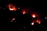 ... und dann brennt der Wald!!!