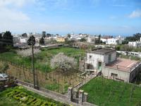 Capri Auffahrt Monte Solaro