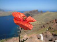 Wanderung zur Ostspitze