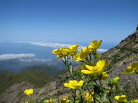 Wanderung - Pico Airero - Pico Ruivo