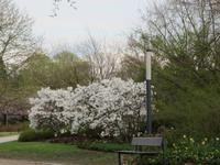 Hamburg-Park Planten und Blomen