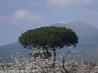 in Pompei mit Blick auf den Vesuv