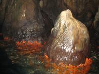 in der blauen Grotte