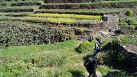 La Gomera /  Wandern El Cercado