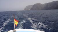 Wal und Delfinen Beobachtung La Gomera