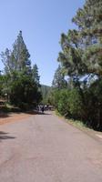 La Orotava / Wanderung