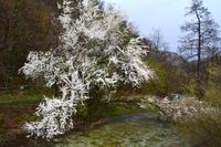 070 NP Plitvicer Seen