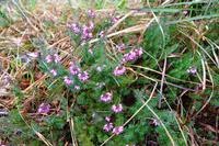 081 NP Plitvicer Seen