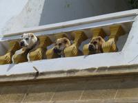 wir werden beobachtet...