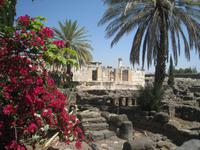 Capernaum