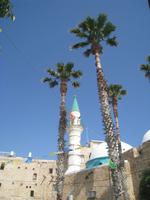 Palmen und Minarette