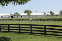Southfork Ranch