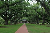 Oak Alley Plantage